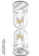 Engagement Champagne Glasses in Glass Dome