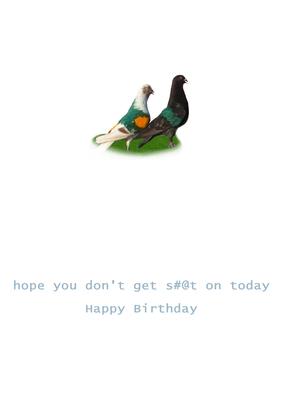 Pigeon Talk Fun Insert