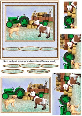 Animal Farm Life
