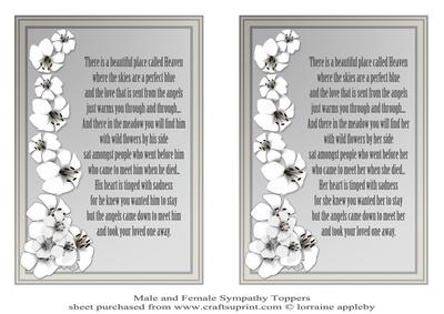 Male and Female Sympathy
