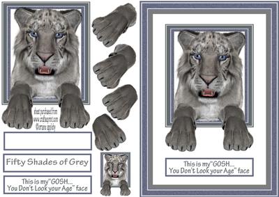Fifty Shades of Grey Tiger