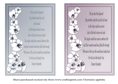Male and Female Sympathy 2