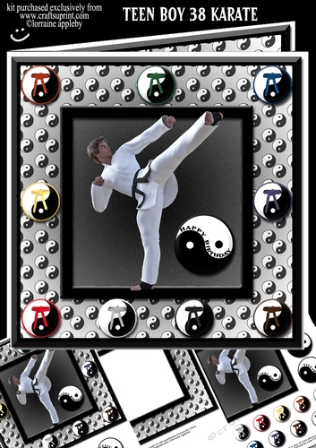 TEEN BOY 38 MARTIAL ARTS