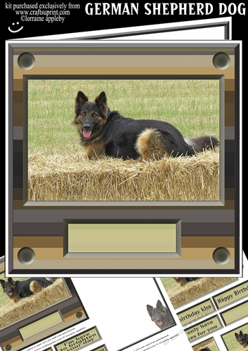 GERMAN SHEPHERD DOG