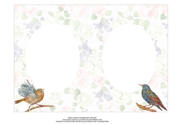 BLANK INSERT, GARDEN BIRDS 5 X 7