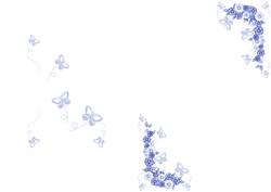 Blue Butterflies and Flowers Blank Insert