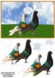 Pigeon Talk