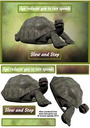 Take It Easy Tortoise