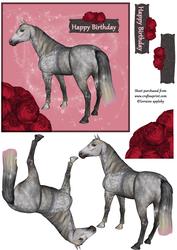 Horse Magic