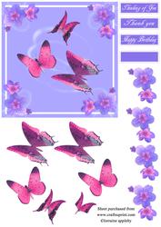 Butterflies Joy