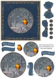 Robins Winter