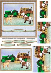 Animal Farm Life