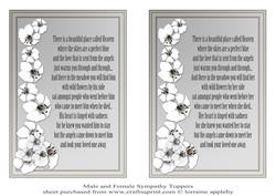 Male and Female Sympathy