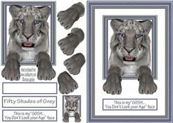 Fifty Shades of Grey Tiger