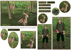 Deers and the Hunter