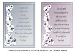 Male and Female Sympathy 2