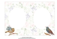 BLANK INSERT, GARDEN BIRDS 5 X 7