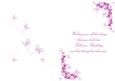 Pink Flowers and Butterflies