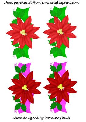 Beautiful Poinsettias