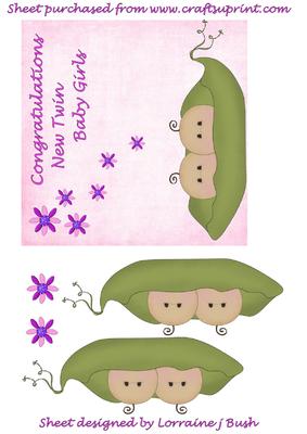 Quick Card Front Twin Baby Girls