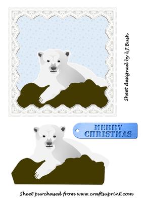 Gorgeous Polar Bear 6x6 Inch Card Front