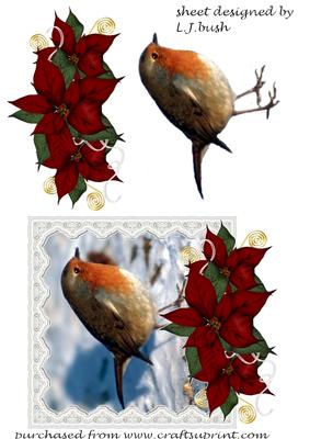 Pretty Robin and Poinsettia Card Front