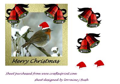 Pretty Robin in Santa Hat