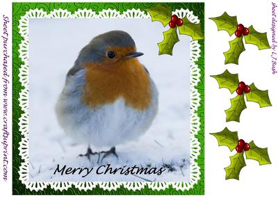 Beautiful 8x8 Robin Quick Card