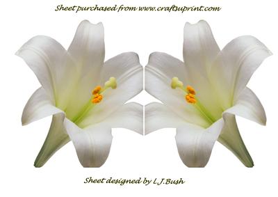 Beautiful Lily Shaped Card