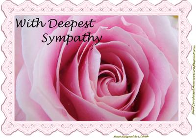 Stunning Pink Rose A4 Sympathy Card Front