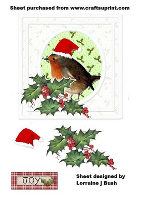 Cute Xmas Robin Quick Card Front