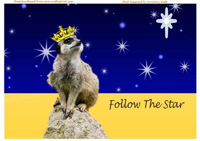Follow the Star Meerkat A4 Card Front