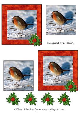 Robins and Holly