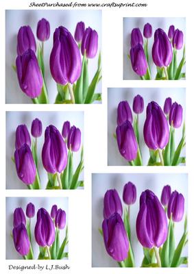 Purple Tulip Toppers