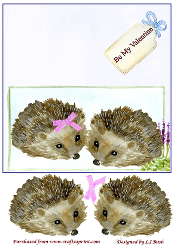 Sweet little Hedgehog 8x8 Valentines Quick card front