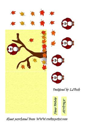 Little Owl Autumn
