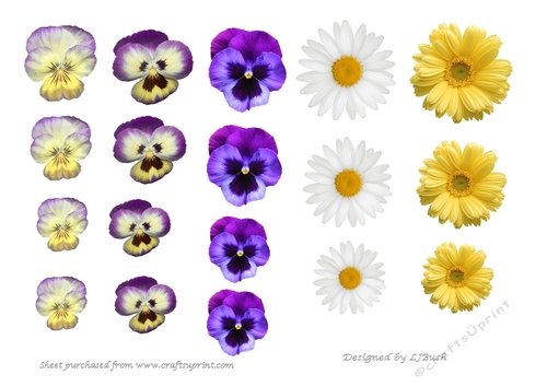 beautiful Pansies,Violas and Daisy flower embellishments