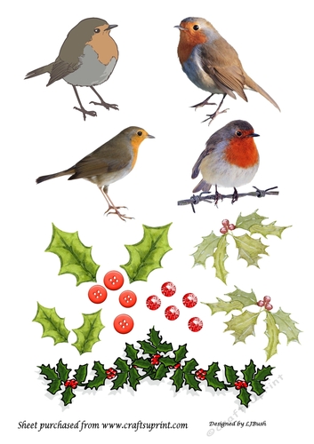 Pretty robin, holly and berry embellishments