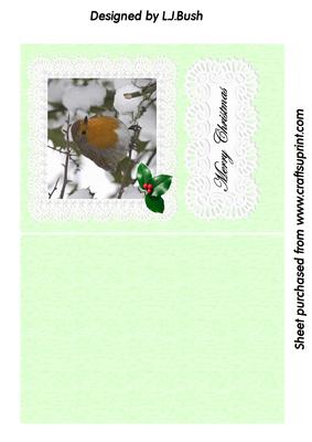 Christmas Robin on Lace Background