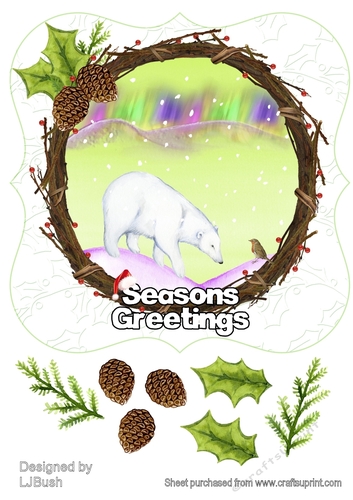 Beautiful Northern Lights polar bear scene 8 inch bracket card front