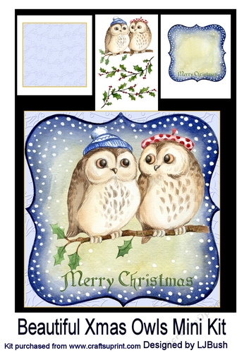 Beautiful Xmas Owls 8 x 8 Mini kit