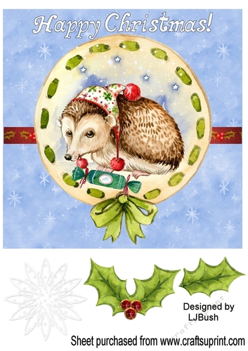 Sweet little Xmas Hedgehog 8 x 8 quick card front