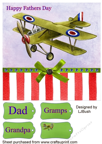 Old fashioned plane Fathers Day 8 x 8 card front