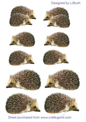 Sweet little hedgehog embellishments