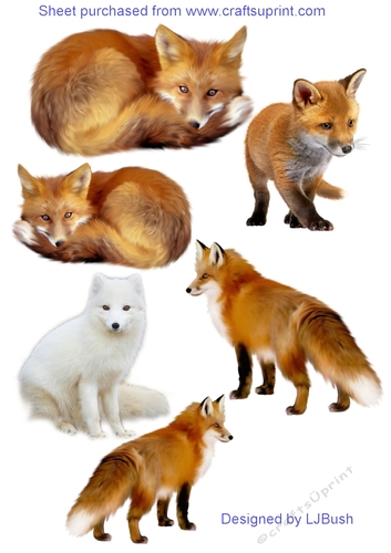 Stunning Fox embellishments