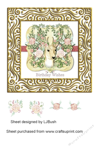 Stunning stag 7 inch Birthday quick card front