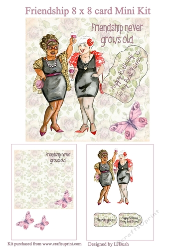 Fantastic Oldies friendship 8 x 8 card Mini Kit