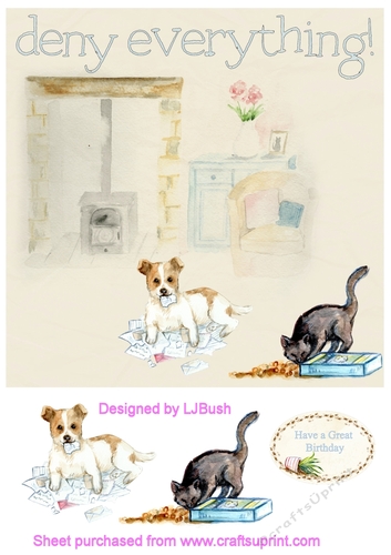 Naughty Pets 8 x 8 quick card front