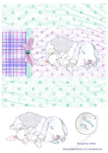 Cuddly pet bunny 8 x 8 quick card front