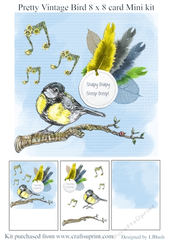 Pretty Vintage Bird 8 x 8 card Mini Kit